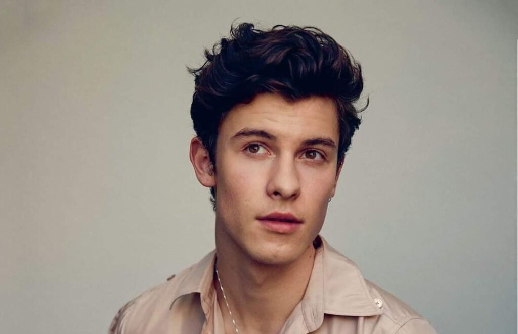 Fans de Shawn Mendes aseguran que el artista usa Grindr