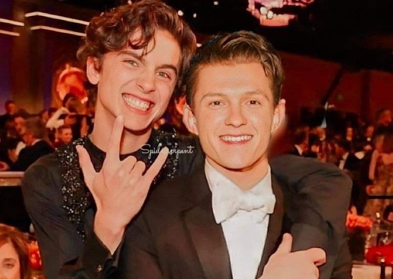 Timotheé Chalamet se estaría uniendo a Spiderman por pedido de Tom Holland