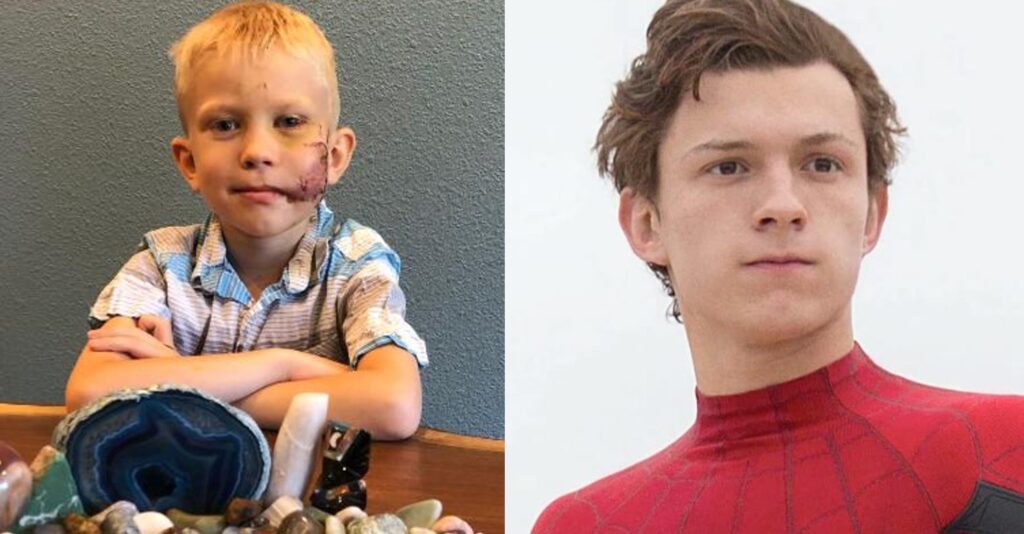 La promesa que cumplió Tom Holland a niño que salvó a su hermana del ataque de un perro La promesa que cumplió Tom Holland a niño que salvó a su hermana del ataque de un perro