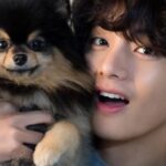 V de BTS revela que su perrito está enfermo ¿Qué le pasó? V de BTS revela que su perrito está enfermo ¿Qué le pasó?