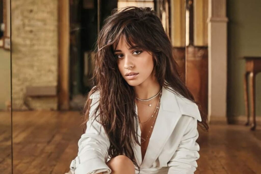 Camila Cabello fué vista en una sex shop comprando juguetes luego de su separación con Shawn Mendes