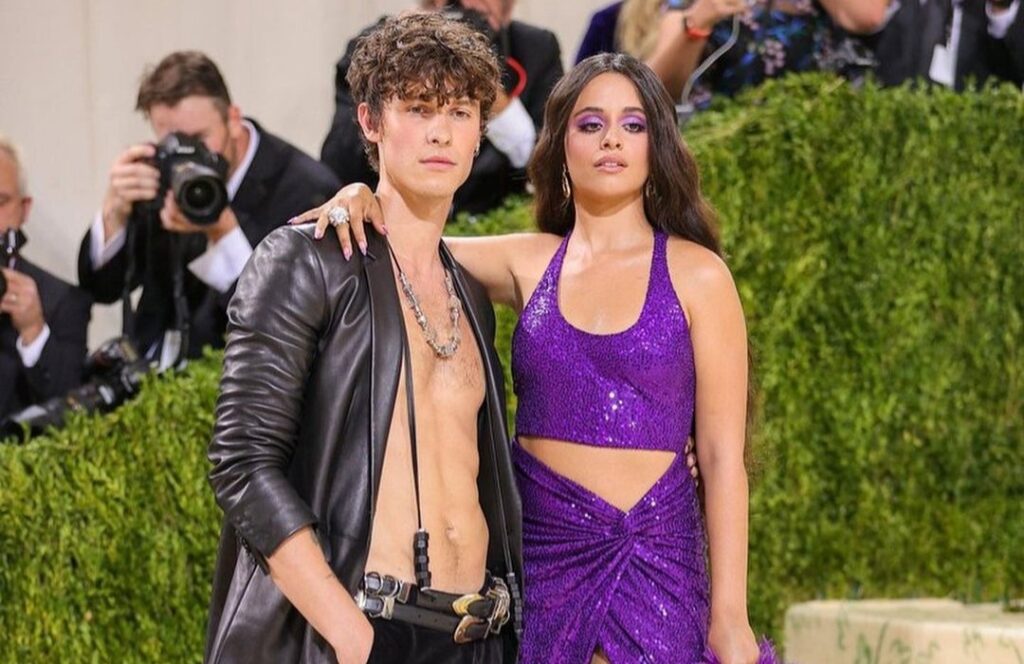 Shawn Mendes revela que está pasando por un mal momento y todo apunta a que se trata de Camila Cabello