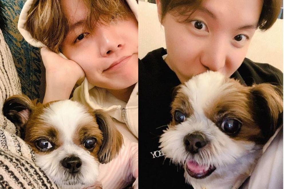 BTS: La triste historia de la mascota de J-Hope que ha afectado al cantante
