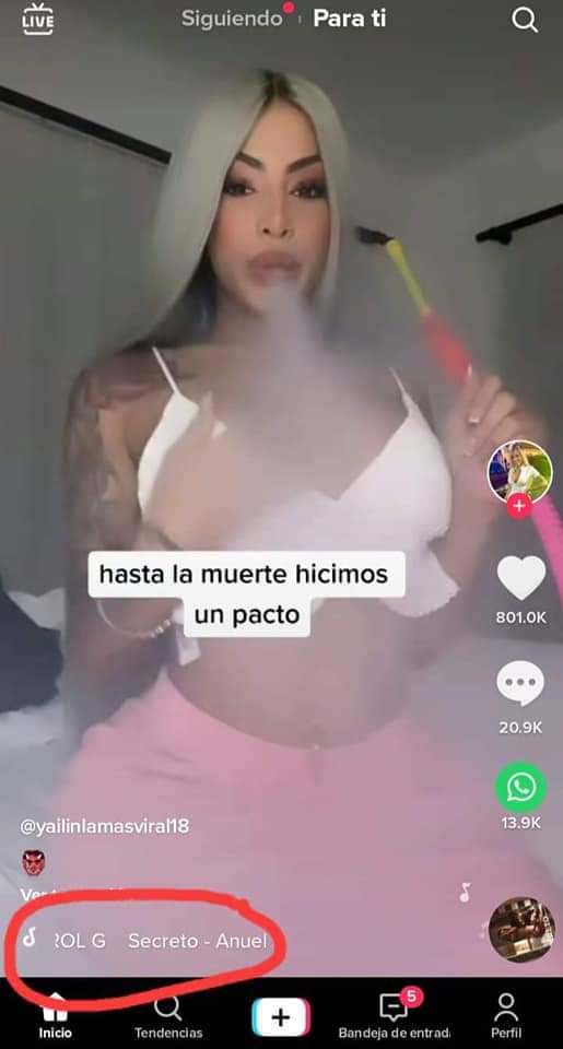 Masacran a críticas a la novia de Anuel AA por usar canciones de Karol G en su cuenta de Tiktok