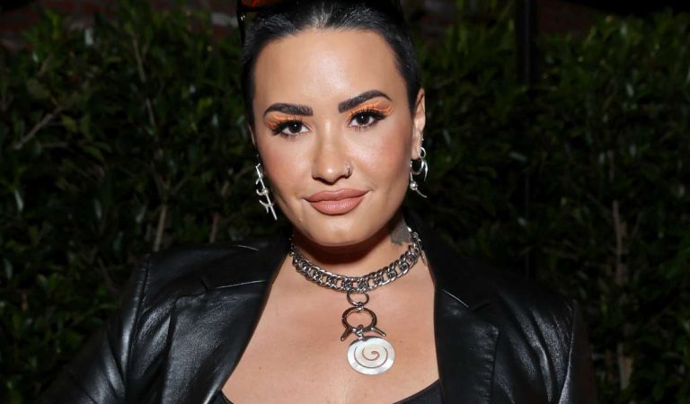 Demi Lovato acepta ser llamada nuevamente por pronombres femeninos