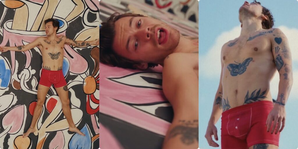Harry Styles se queda en Boxers para su nuevo vídeo y llama la atención de sus fans