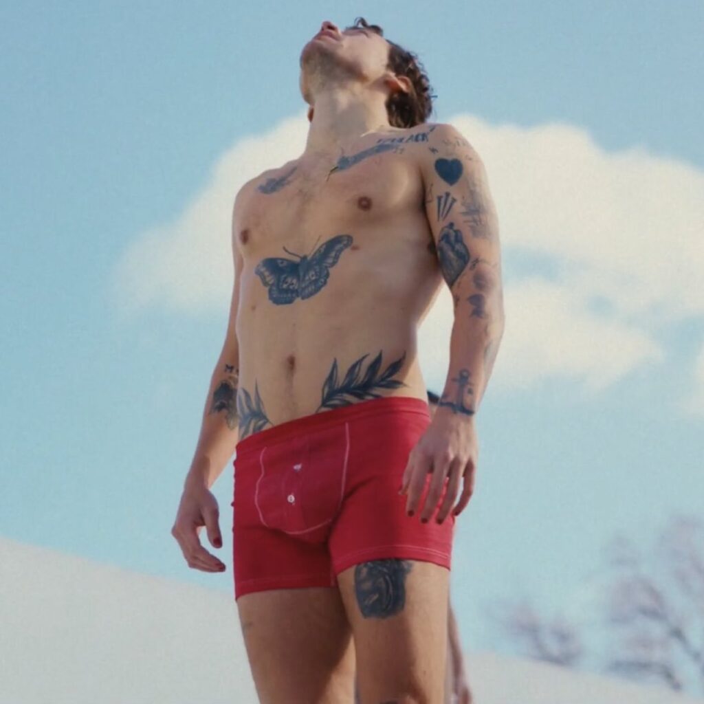 Harry Styles se queda en Boxers para su nuevo vídeo y llama la atención de sus fans