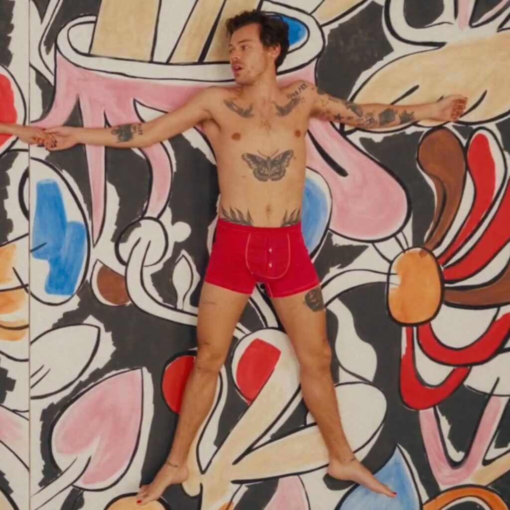 Harry Styles se queda en Boxers para su nuevo vídeo y llama la atención de sus fans