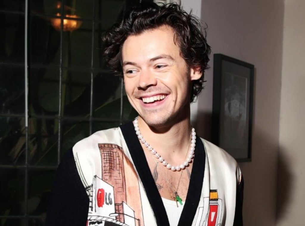 Harry Styles se desnuda para escenas de sexo en My Policeman, "El p*ne se negoció"