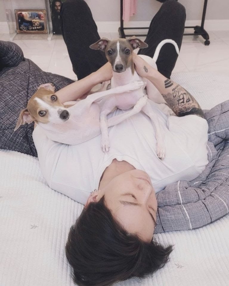 BTS: 3 fotos de Jungkook que demuestran que es el novio perfecto