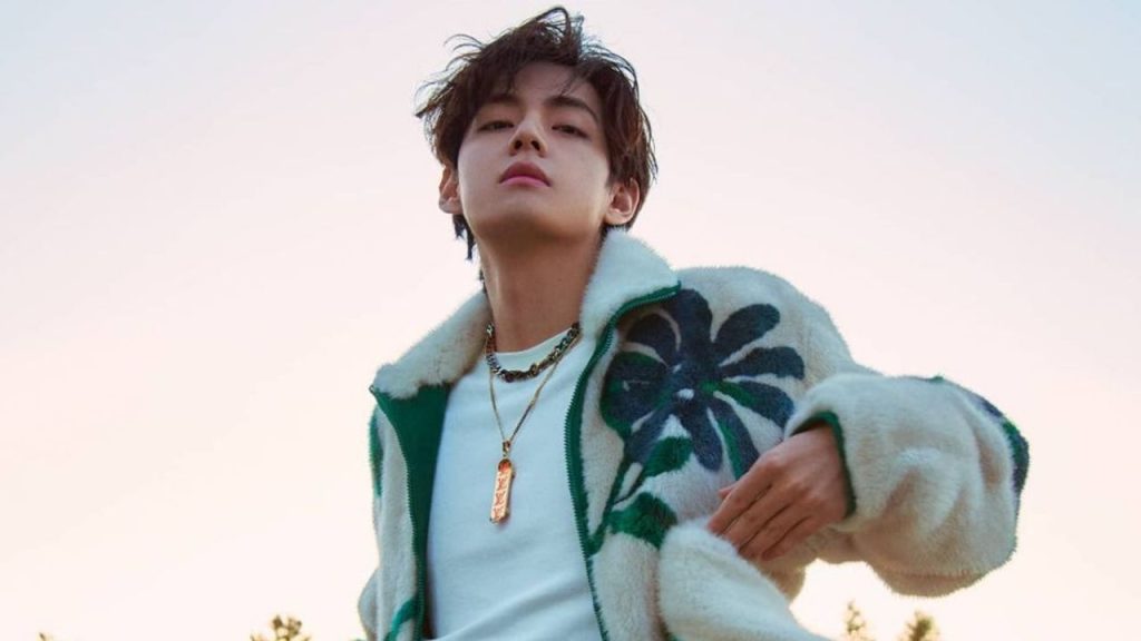 BTS: Han Seo Hee, la mujer que atacó a Taehyung y que fue a la cárcel