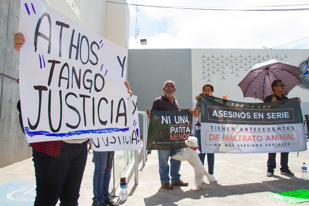 Por fin justicia para Athos y Tango