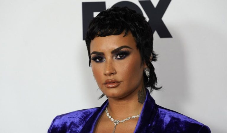 Demi Lovato pide nuevamente que la llamen «ella» tras volverse a sentir mujer