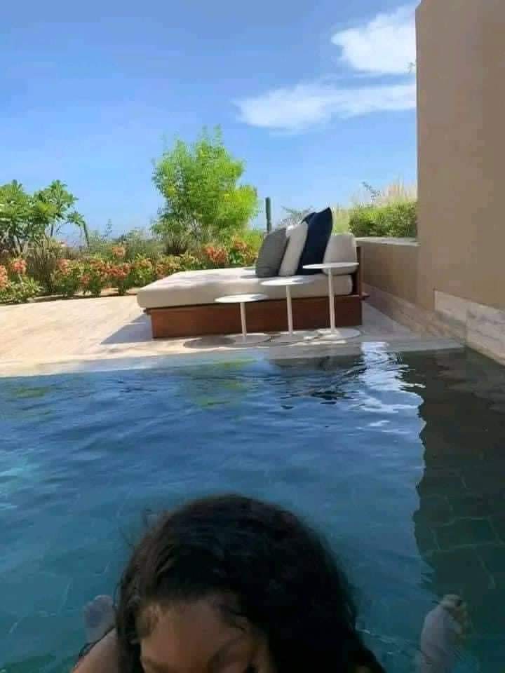 Anuel AA filtra sin querer a Yailin la más viral comiéndole la salchicha en la piscina