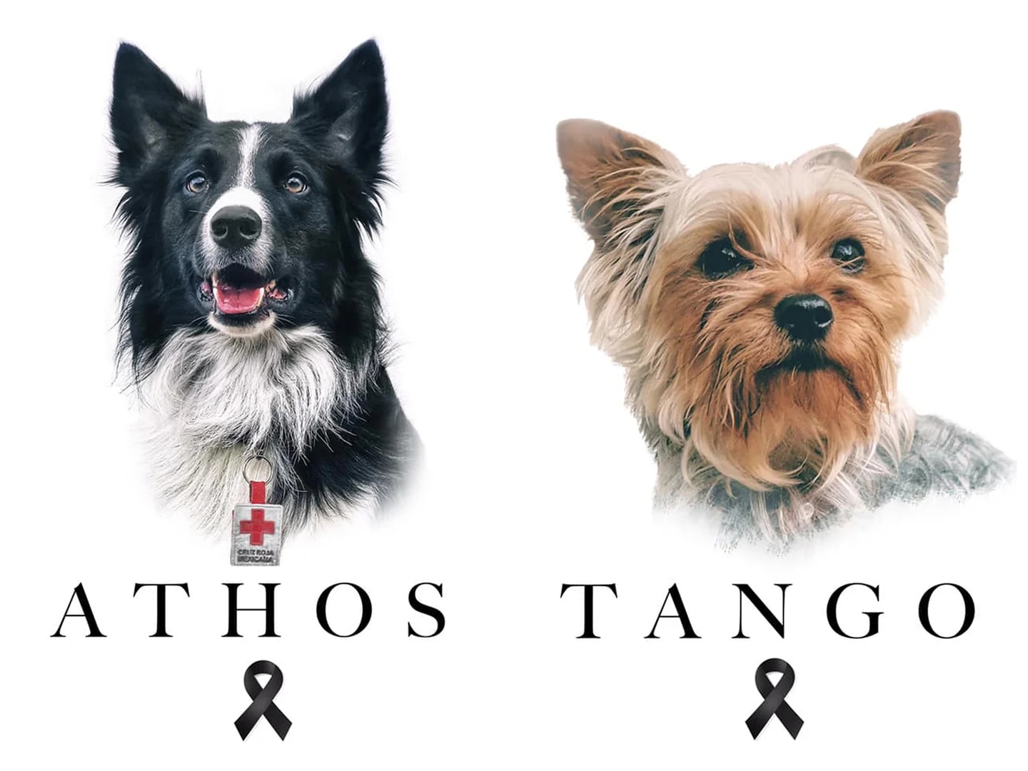 Por fin justicia para Athos y Tango
