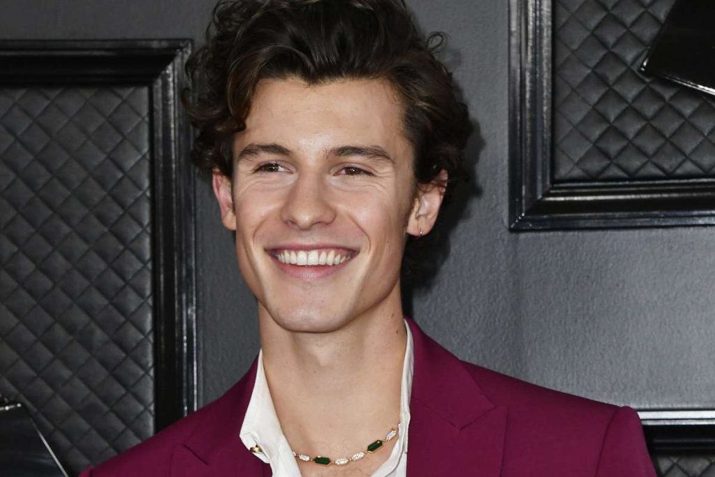 La extraña y polémica reacción de Shawn Mendes al noviazgo de Camila Cabello con Austin Kevitch