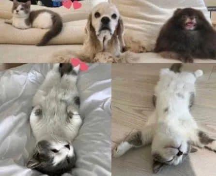 Salen a la luz NUEVAS fotos de Taehyung y Jennie en la misma cama