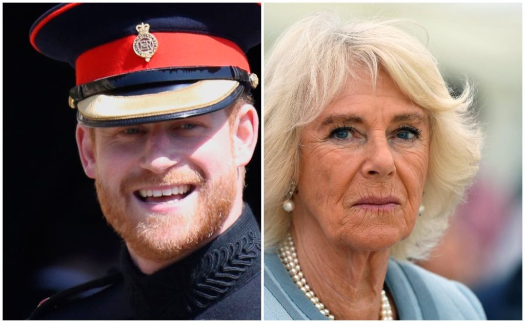 La Reina Camila escupió el té cuando el Príncipe Harry les propuso reconciliarse