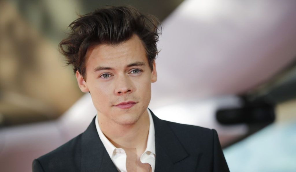 El terror que vivieron los asistentes en el concierto de Harry Styles