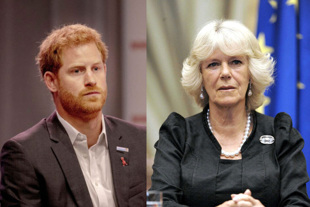 El Príncipe Harry atacó a Camilla Parker en una entrevista y aseguró que es "peligrosa"