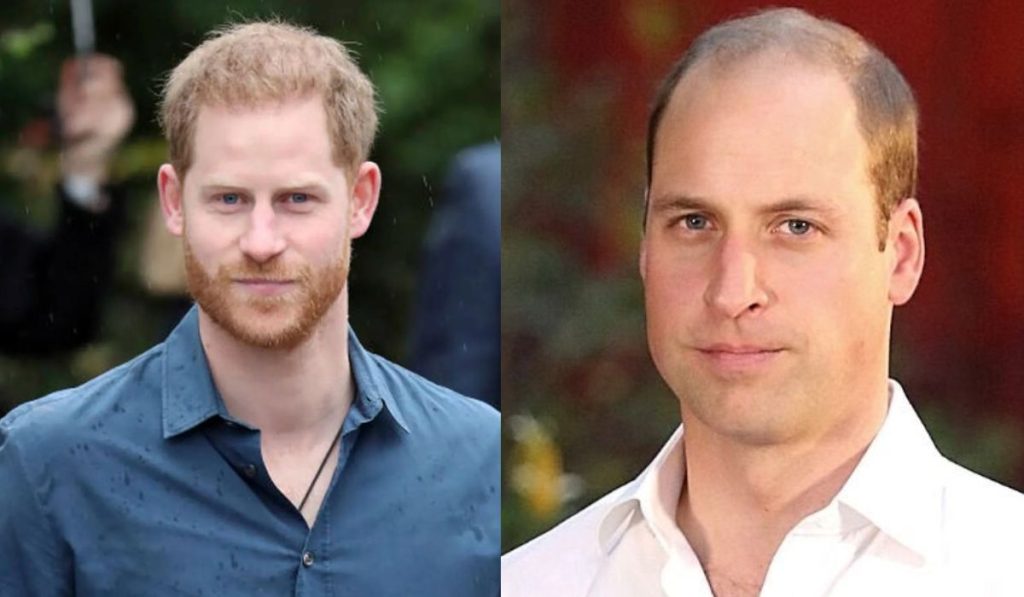 El príncipe Harry "está distorsionando la realidad" afirma el príncipe William
