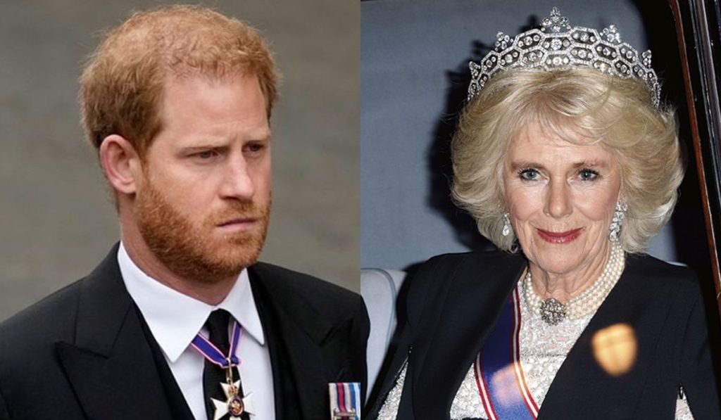 La reacción de la reina Camila Parker ante las difamaciones del príncipe Harry asombra a todos