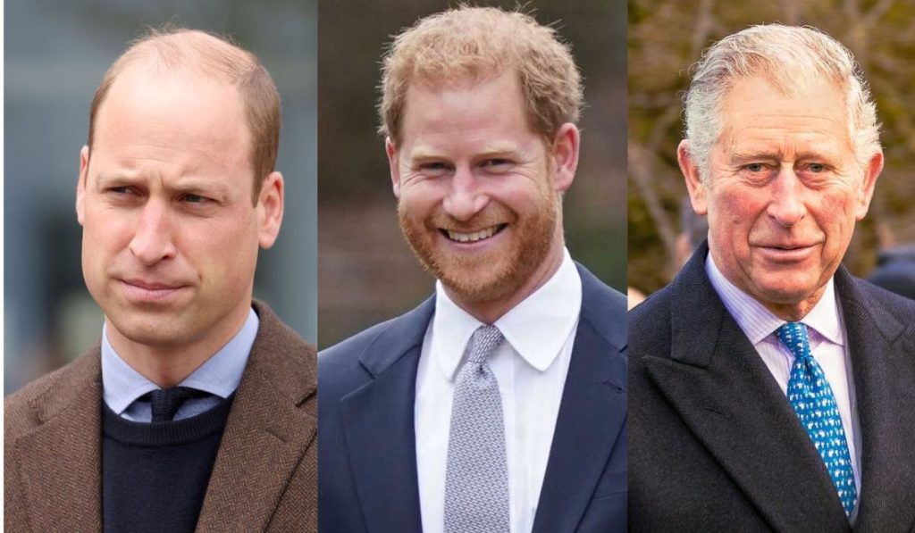 Príncipe Harry afirma que no quiere ver a su padre, ni a su hermano