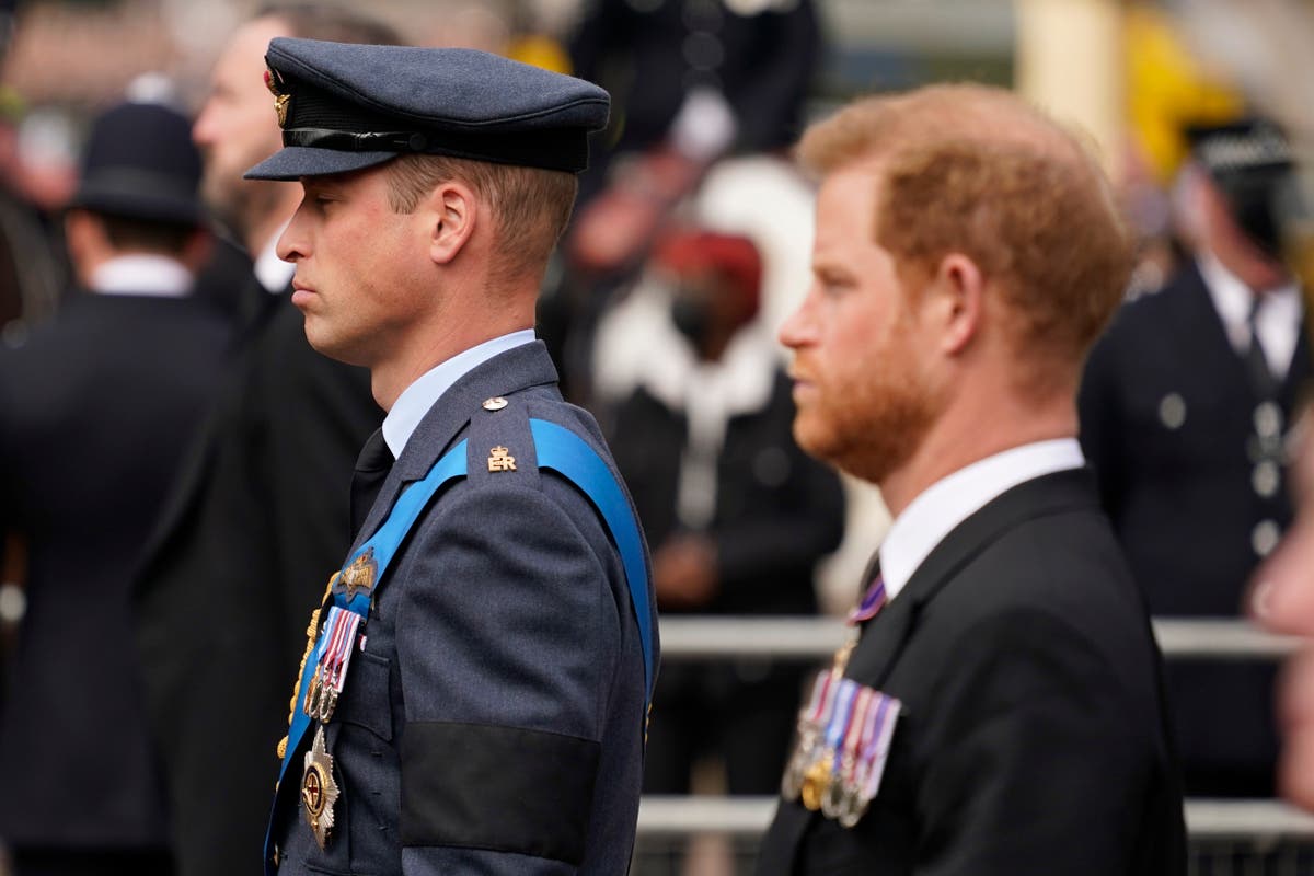 El Príncipe Harry y el Príncipe William se cayeron a golpes por culpa de Meghan Markle