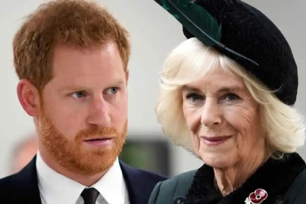 Camilla Parker y su oscuro plan para humillar al Príncipe Harry