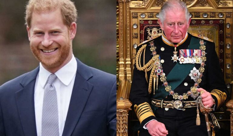 El Príncipe Harry desobedece al Rey Carlos III en su viaje al Reino Unido