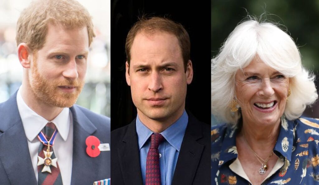 El príncipe Harry y el príncipe William no quieren a la reina consorte Camilla Parker en la coronación