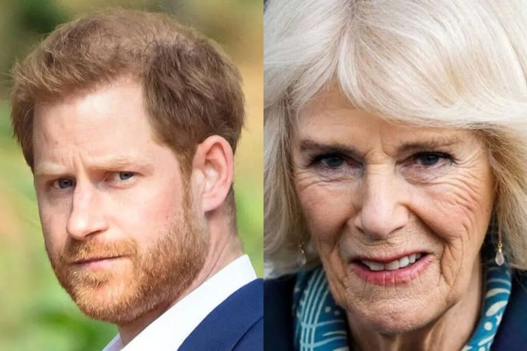 Asi es la pesima relacion entre el príncipe Harry y la reina consorte Camilla Parker Bowles