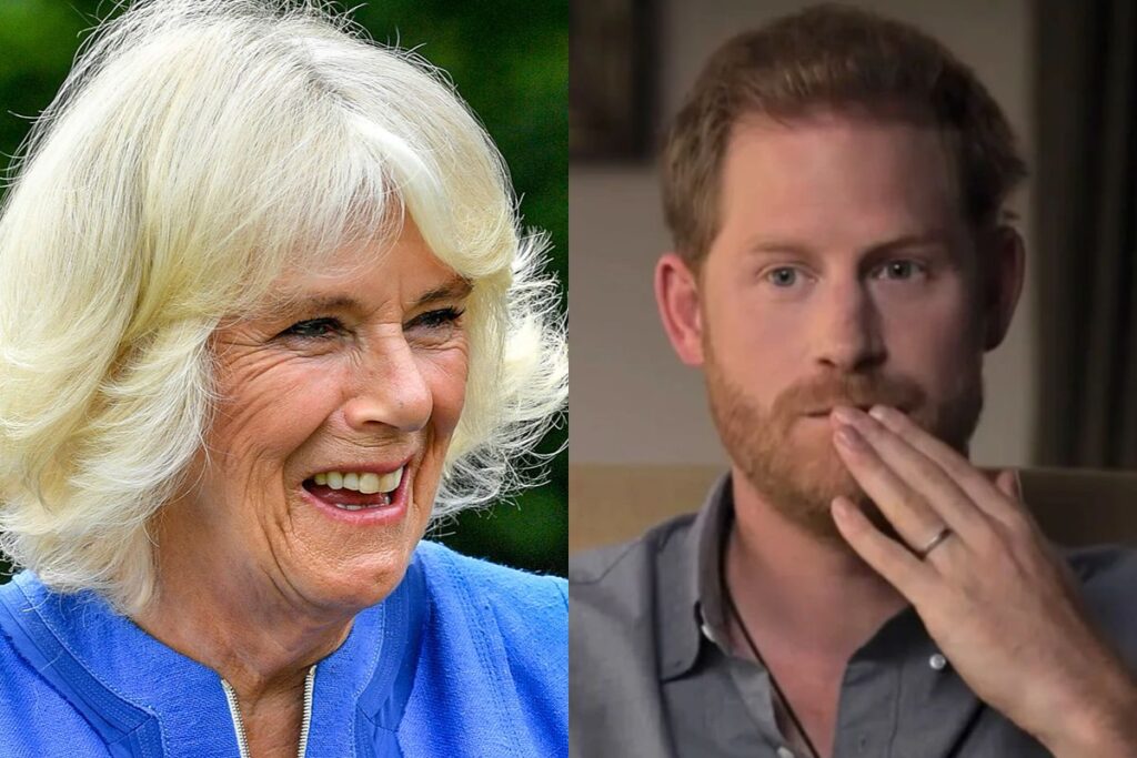 Camilla Parker ha reemplazado oficialmente a los hijos del Príncipe Harry de la coronación