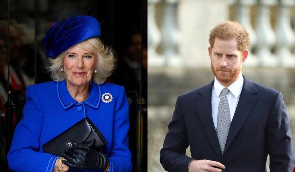 Camilla Parker realizaría este deplorable acto para eliminar al príncipe Harry de su coronación