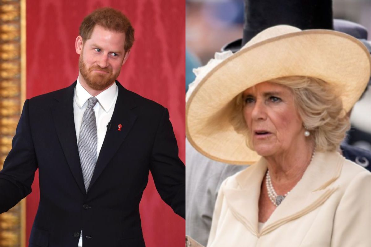 El príncipe Harry ya tiene un plan para vengarse de Camilla Parker por despreciar a su familia