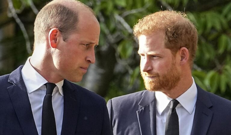 El príncipe William huye ante la llegada del príncipe Harry al Reino Unido