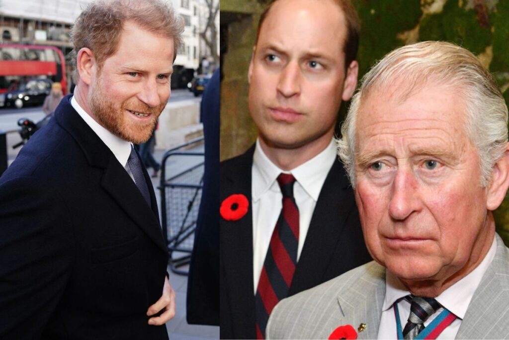 La imagen del Príncipe Harry que enfurece a la realeza británica