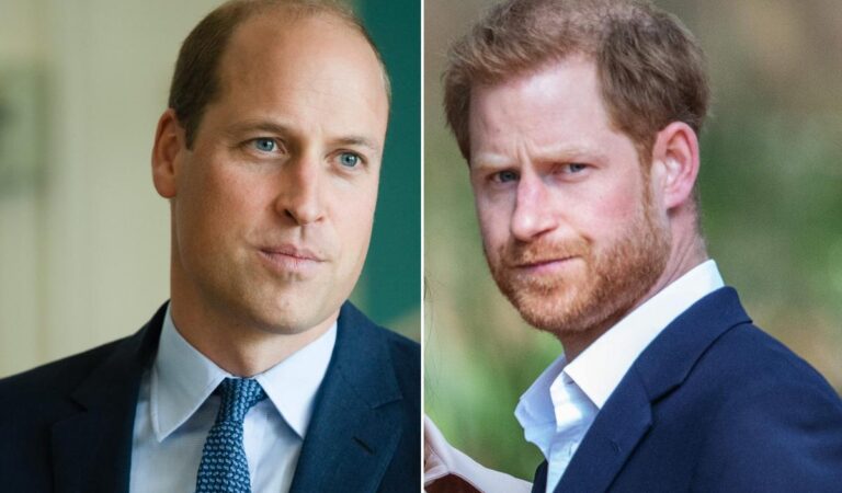 La verdadera y sorpresiva razón por la que el Príncipe William y Harry se separaron