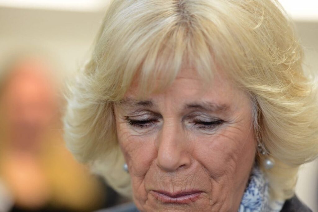 Camilla Parker es mancillada por los seguidores de la realeza en las redes sociales