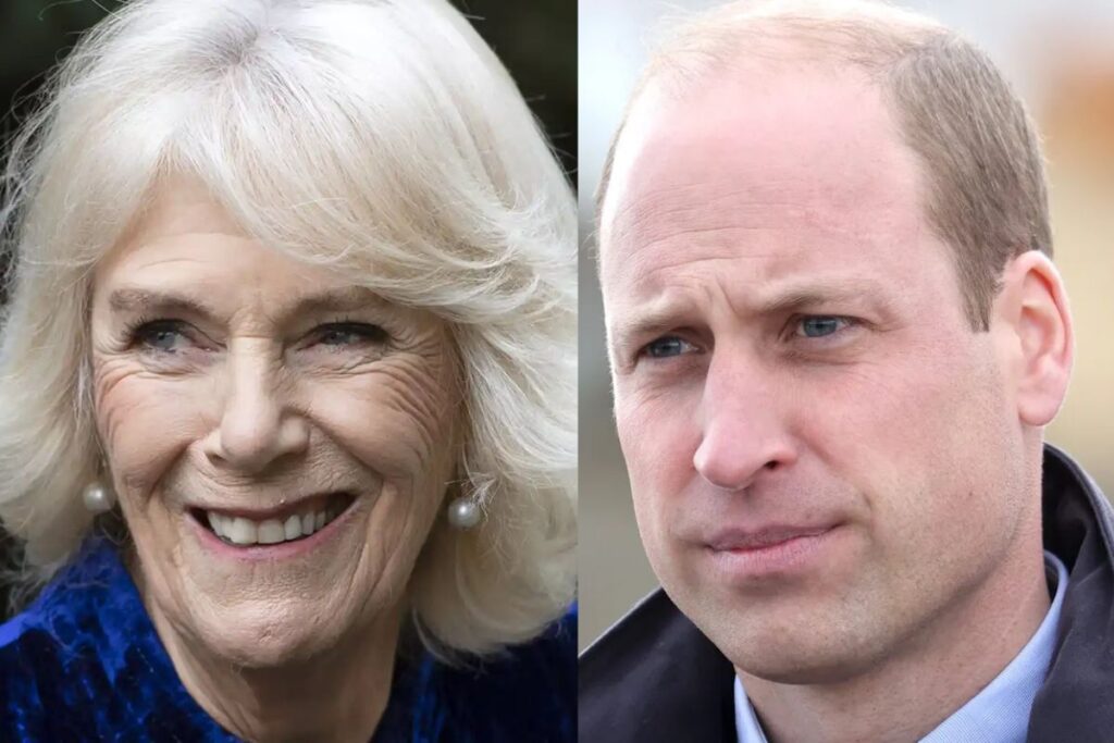 Camilla Parker es quien ha filtrado los oscuros secretos del Príncipe William
