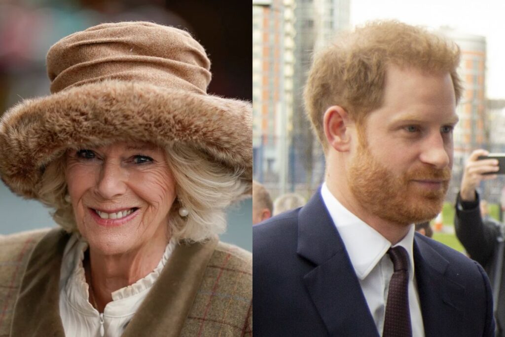 Camilla Parker está preparada para ejecutar su dulce venganza contra el príncipe Harry