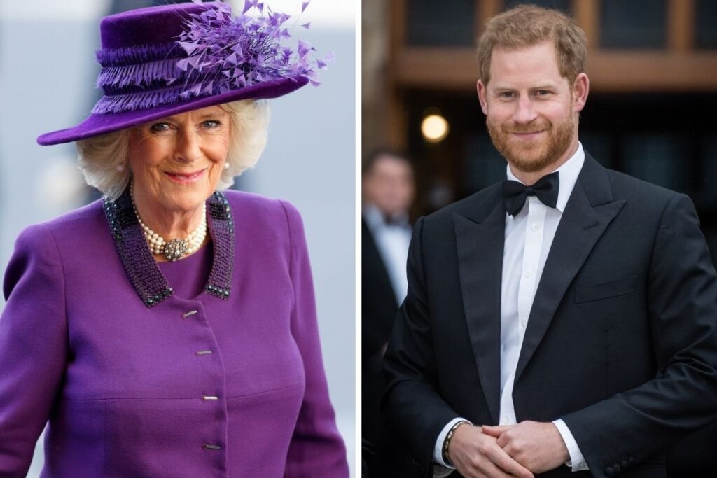 Camilla Parker habla por primera vez de los ataques que le ha propinado el Príncipe Harry