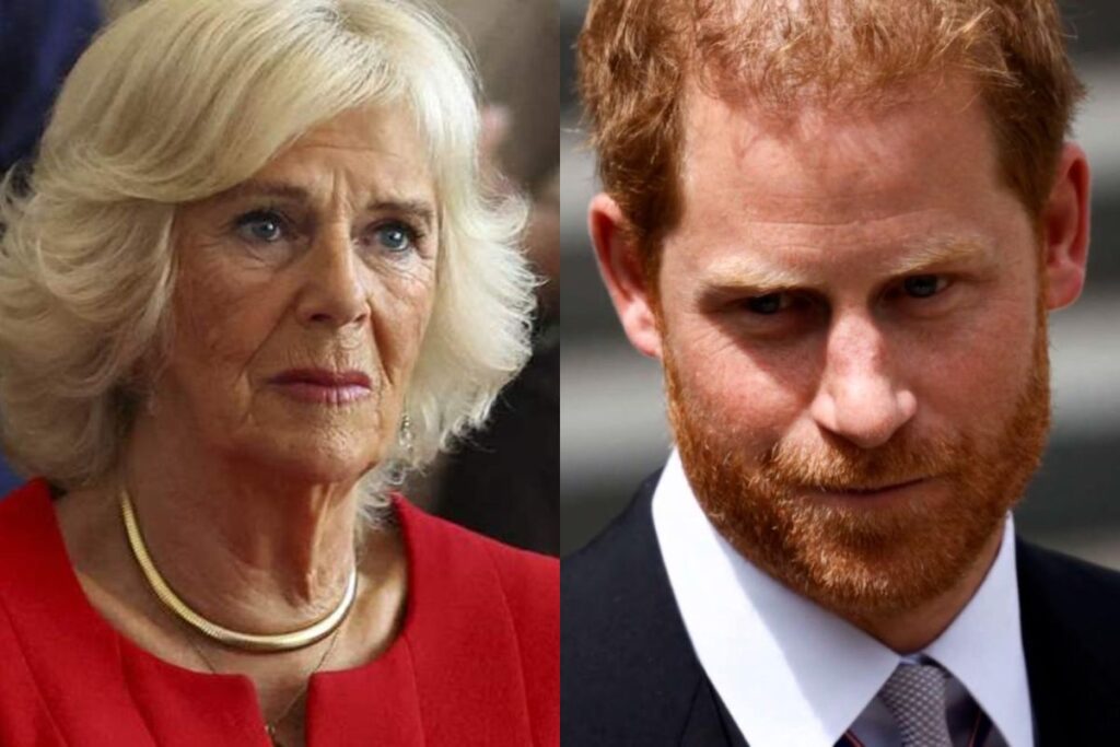 Camilla Parker no guarda silencio, y revela todas las agresiones que sufrió por parte del príncipe Harry