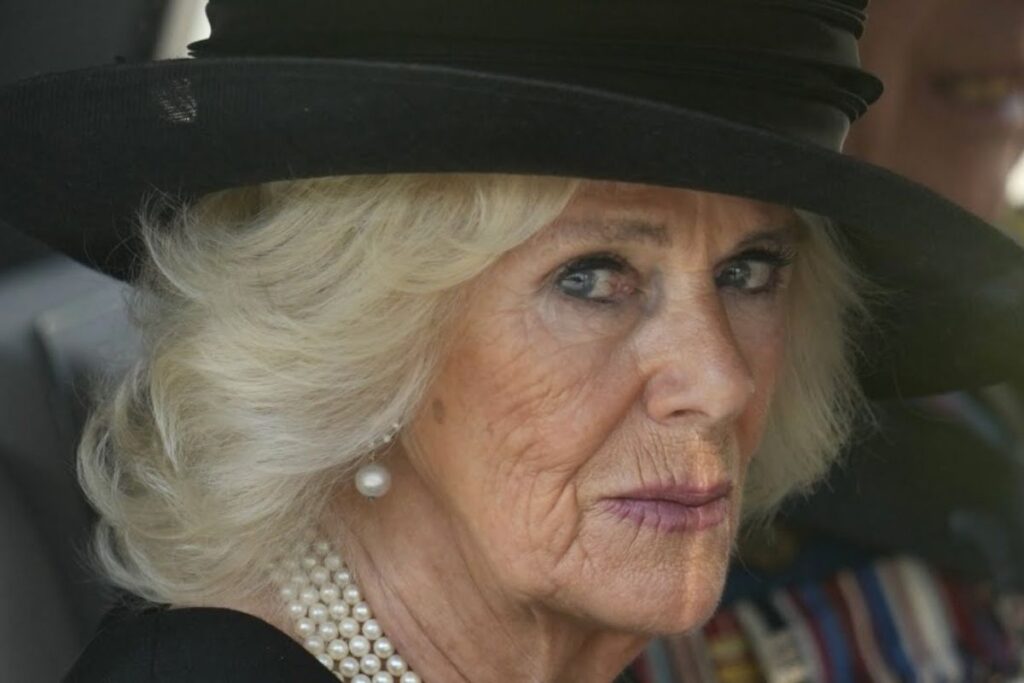 Kate Middleton asegura su posición cumpliendo con sus deberes, y provoca preocupación a Camilla Parker