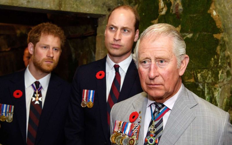 Camilla Parker revela que el príncipe William es grosero contra el rey ...