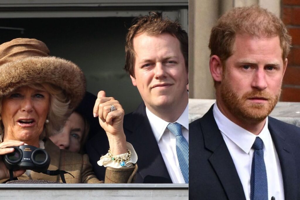 El hijo de Camilla Parker responde ante los últimos ataques que el príncipe Harry lanzó contra su madre
