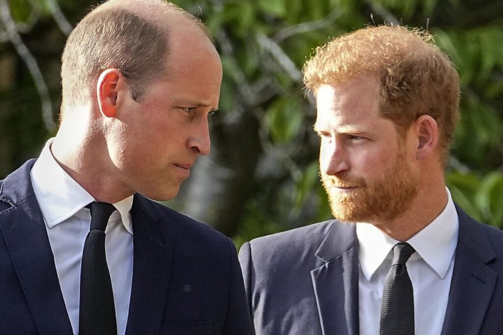 El príncipe Harry afirma que el príncipe William ganó dinero ilegal por este motivo