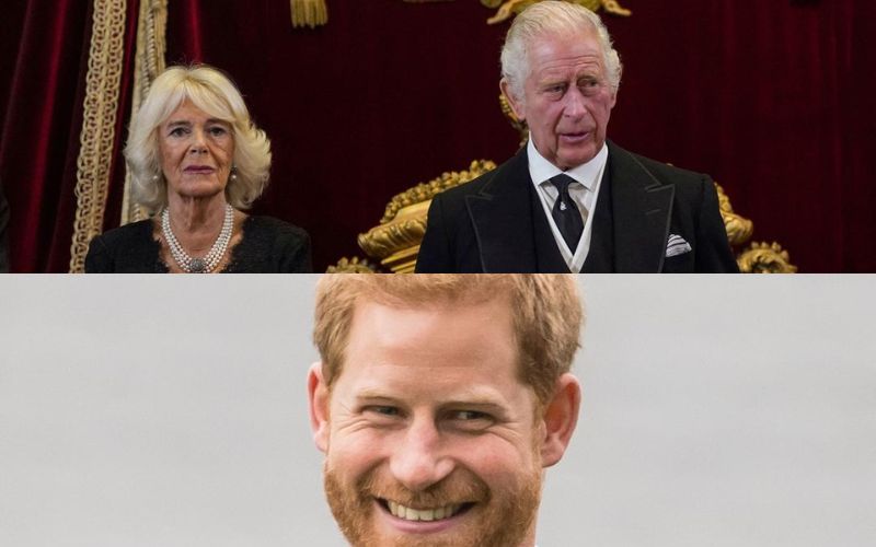 El príncipe Harry confirma que Camilla Parker solo quiere al rey Carlos III por interés