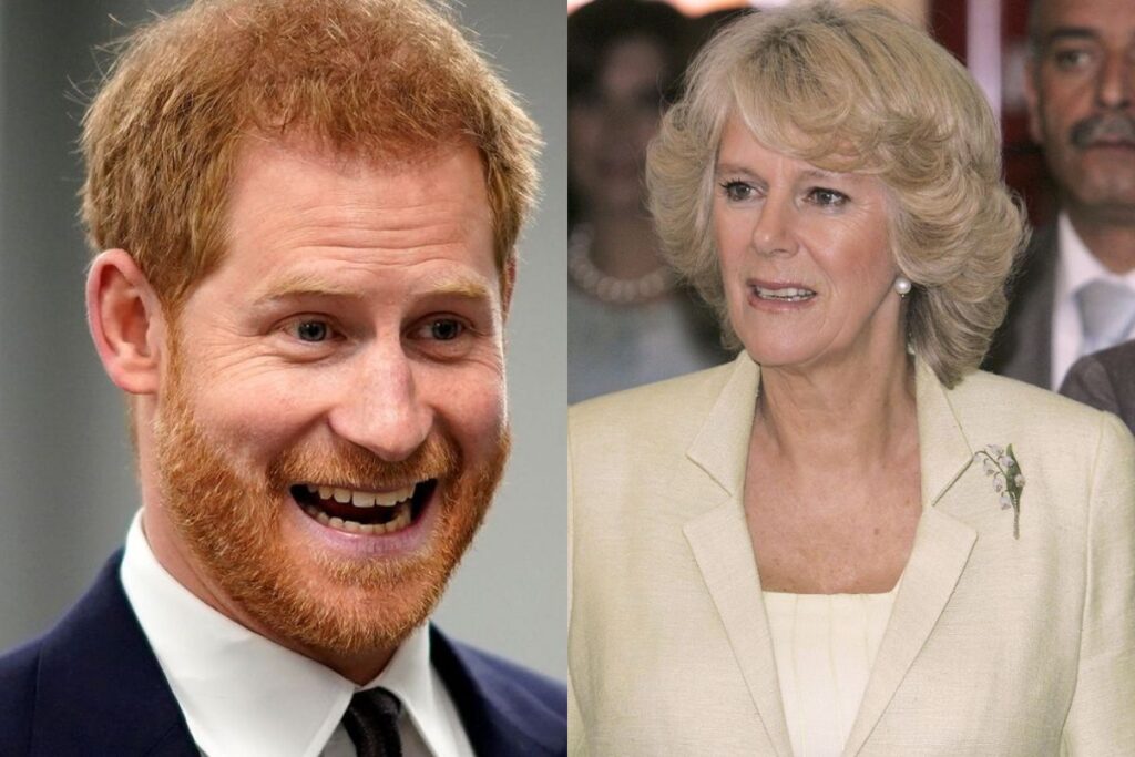 El príncipe Harry confirma que Camilla Parker solo quiere al rey Carlos III por interés