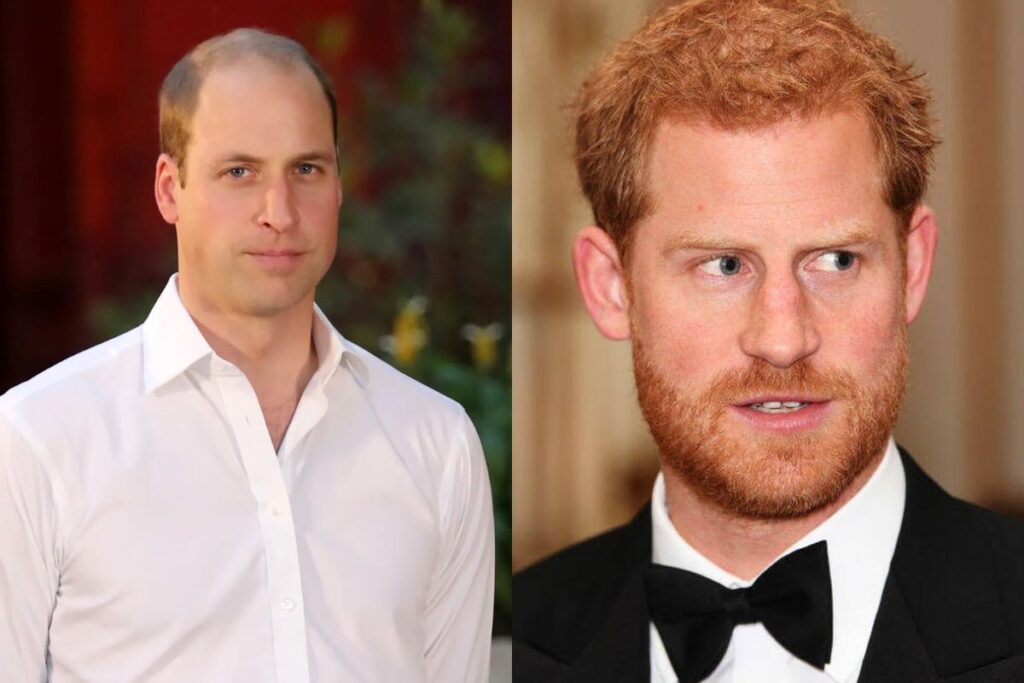 El príncipe William explotó y golpeó al príncipe Harry; le dejó moretones y cicatrices